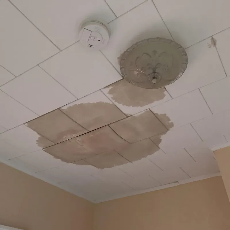 Ceiling Water Damage Repair in Portage, PA