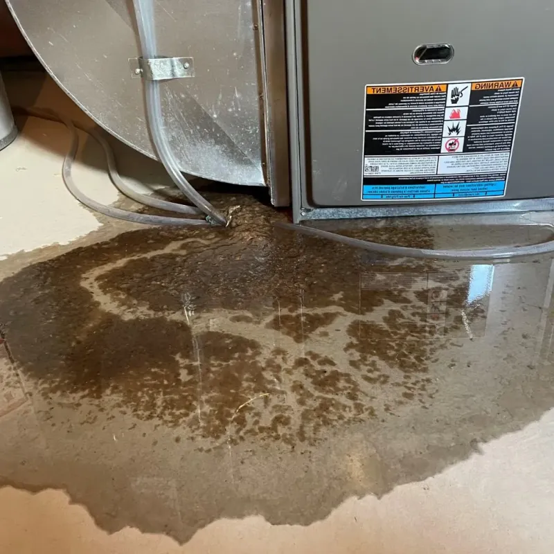Pipe Burst and Leak Restoration in Portage, PA