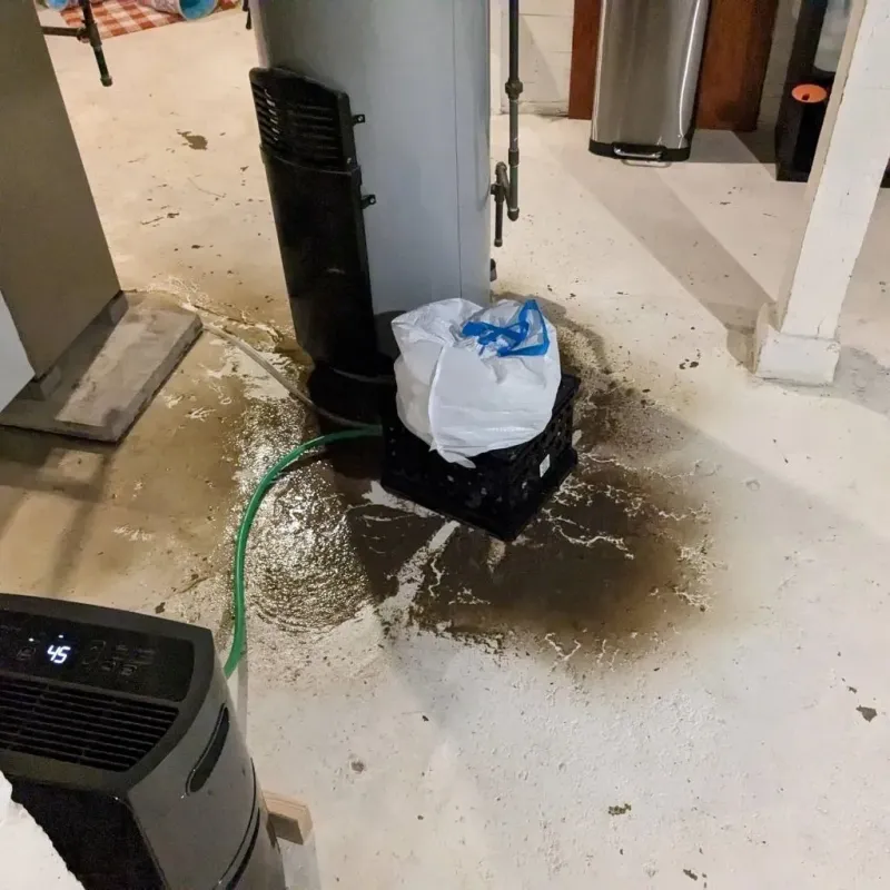 Sewage Backup Cleanup Service in Portage, PA